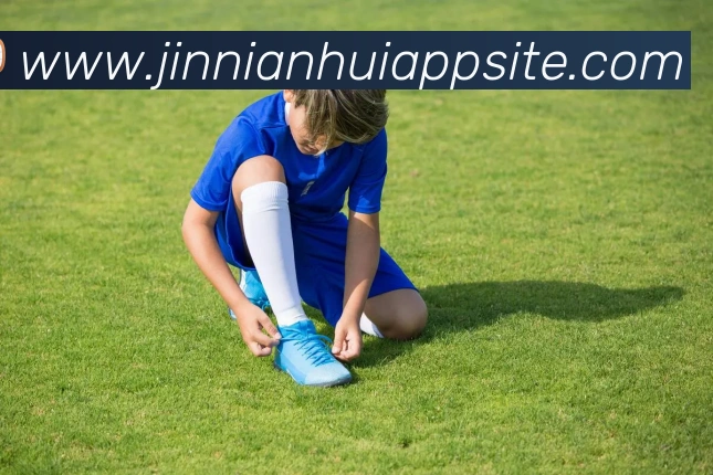 今年会官网全站App